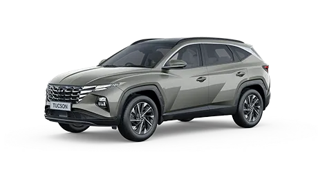 Fords' Engine Combustor