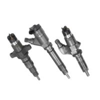 Diesel Fuel Injector