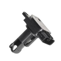 Mass Air Flow (MAF) Sensor